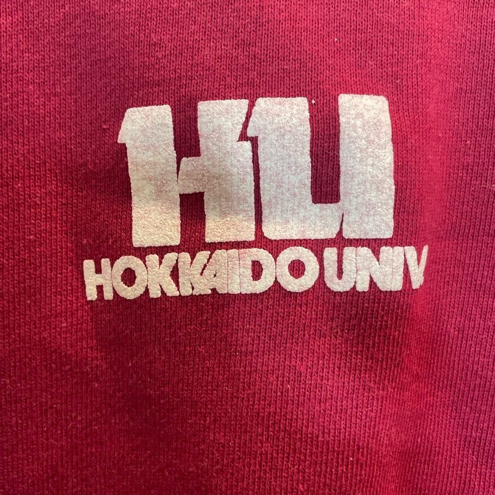 Vintage Hokkaido University Dark Red Sweatshirt medium 80s French Terrycloth